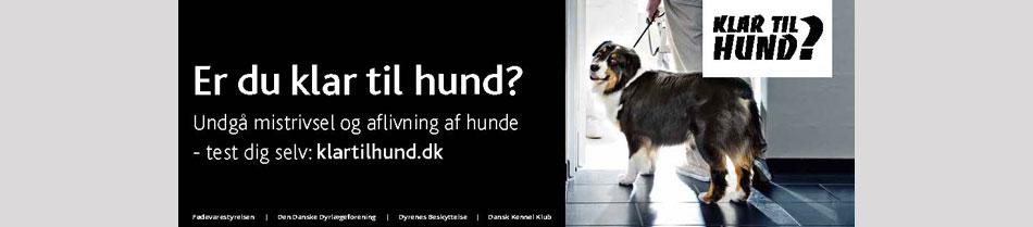 Er du klar til hund