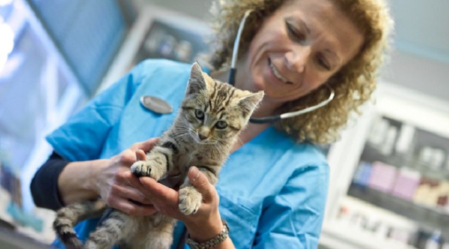 OMSORG ♥ FAGLIGHED ♥ EMPATI