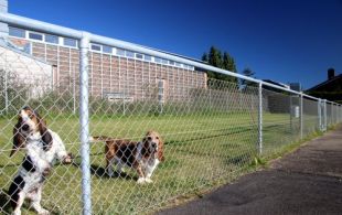 Fri leg til din hund ved besøg hos os