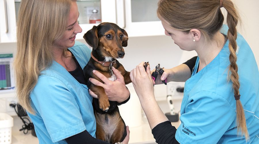 OMSORG ♥ FAGLIGHED ♥ EMPATI